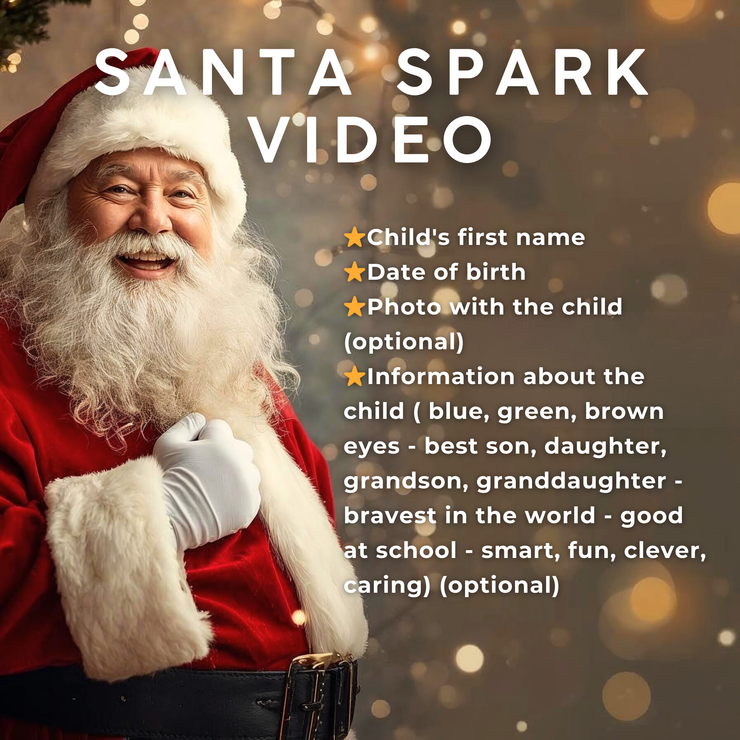 Personalized Santa Video Message